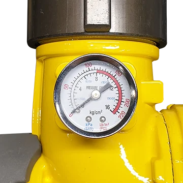 Pressure Gauge